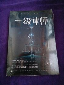 一级律师 木苏里 全球高考作家木苏里又一口碑之作 纯爱都市 收录独家番外 强强联手 .