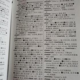 新英汉·汉英词典（世纪版）