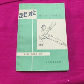 武术青少年体育丛书