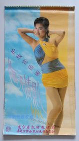 原版挂历1991年海天倩影 护线宣传画 明星美女摄影13 全