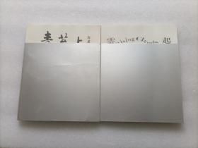 庞飞作品展：青苔上 + 云起   全两册