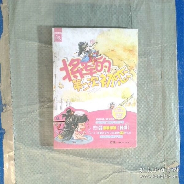 将军的第二次初恋