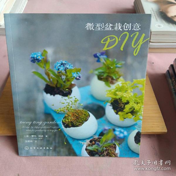 微型盆栽创意DIY