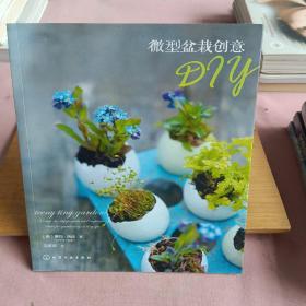 微型盆栽创意DIY