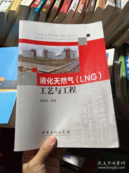 液化天然气（LNG）工艺与工程