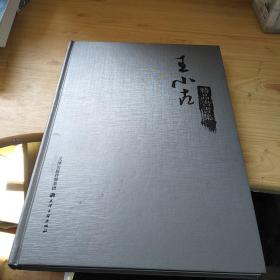 王小古精品书画集(精装