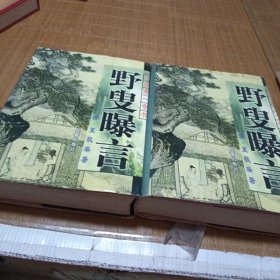 人间第一奇书:野叟曝言/16开精装上下册