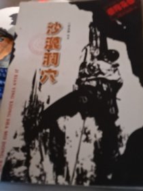 沙漠洞穴