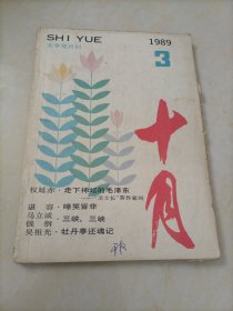 老杂志：十月（1989年第3期）【文学双月刊】〈另有其它年份出让，欢迎选购〉