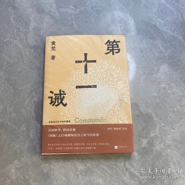 第十一诫 （年轻知识分子的忏悔录 直面欲望、拷问灵魂，《围城》之后讽刺知识分子的当代经典）