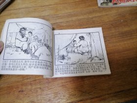 小马倌,毛主席语录,多单合并运费