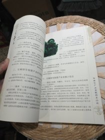 云南石产业 陈昕、谭亚原 主编 云南人民出版社9787222068018