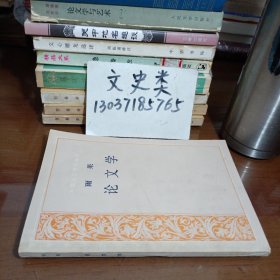 雨果论文学