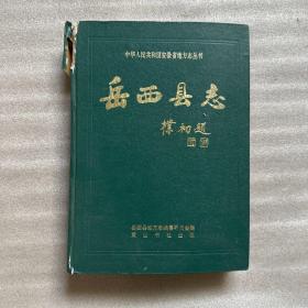 岳西县志