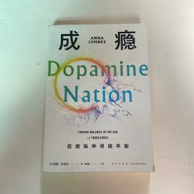 成瘾：在放纵中寻找平衡