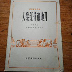 大寨红花遍地开
