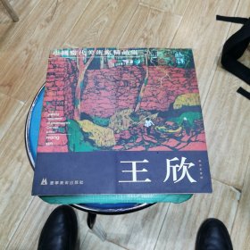 中国当代美术家精品集.王欣