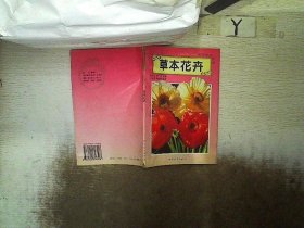 草本花卉