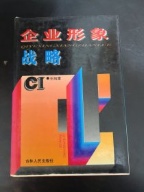企业形象战略【精装本】带护封