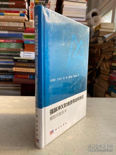 强脉冲X射线诱导结构响应模拟实验技术