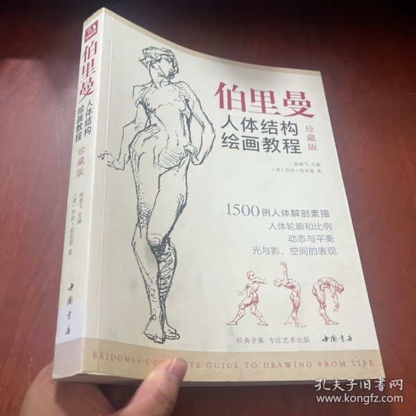 经典全集伯里曼人体结构绘画教程
