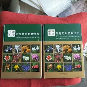 中国秦岭常见药用植物图鉴(上下)2册，精线装。拍照为准。