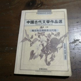 正版魏晋南北朝隋唐五代卷王兆鹏、尚永亮、刘尊明  编武汉出版社