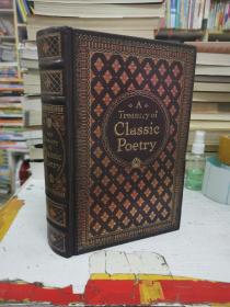 a treasury of classic poetry