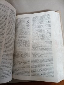 汉语大词典 (全13册含索引)