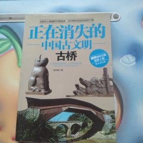 正在消失的中国古文明：古桥