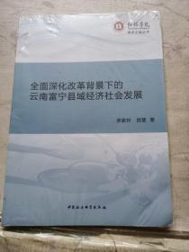 全面深化改革背景下的云南富宁县域经济社会发展