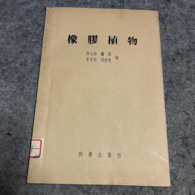 橡胶植物