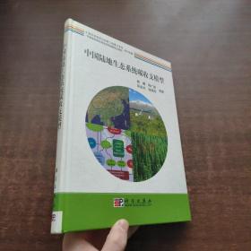 中国陆地生态系统碳收支模型