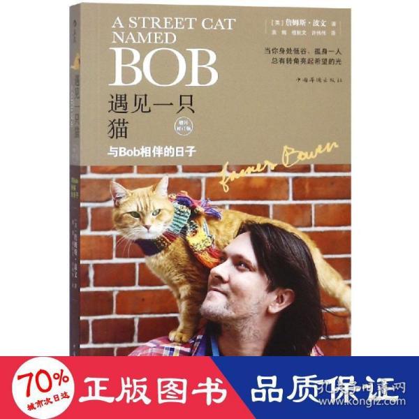 遇见一只猫:与Bob相伴的日子