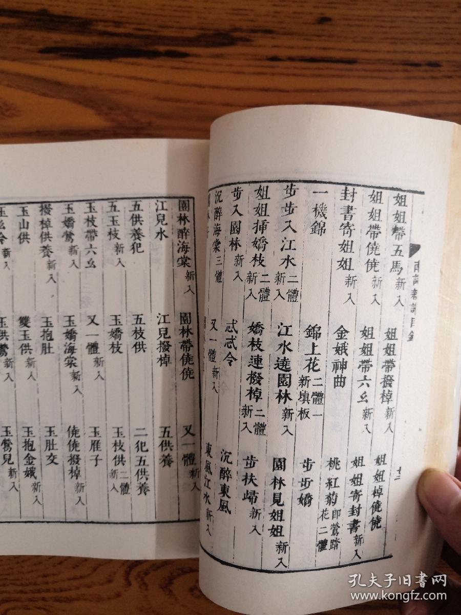 南词新谱  全二册