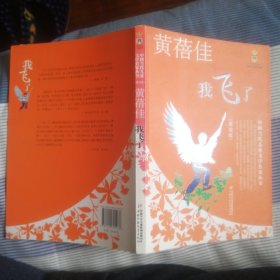 我飞了——黄蓓佳·中国当代儿童文学名家丛书（美绘版）