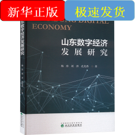 山東數(shù)字經(jīng)濟(jì)發(fā)展研究