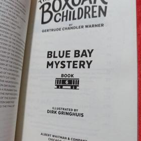 BLUE BAY MYSTERY、SURPRISE ISLAND