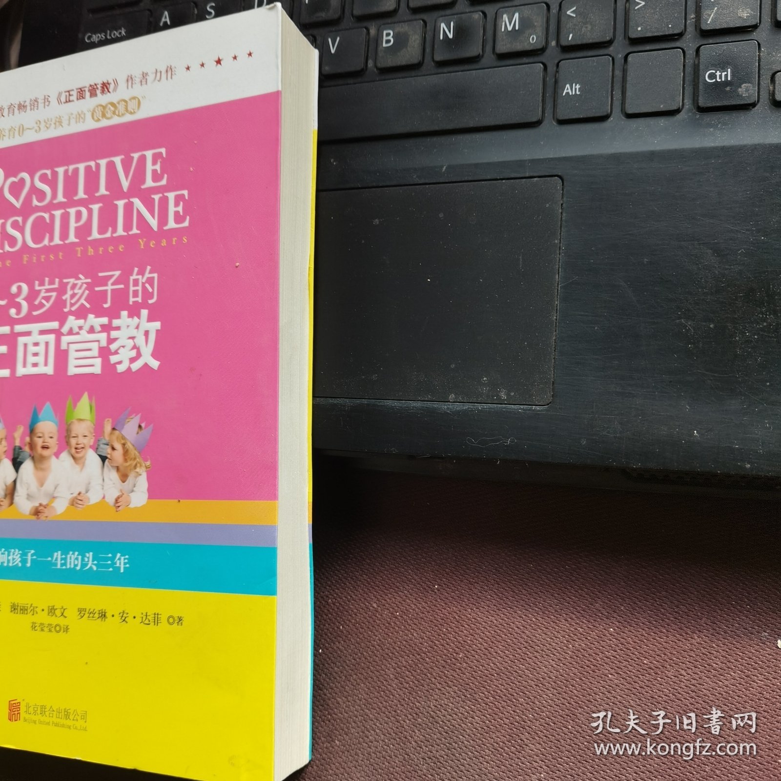 0-3岁孩子的正面管教：影响孩子一生的头三年