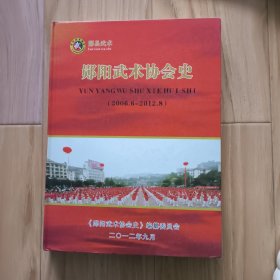 郧阳武术协会史（2006.6---2012.8）