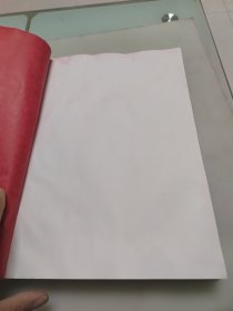 王震(大8开画册)