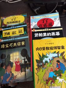 丁丁历险记埃尔热（17本合售）