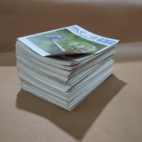 微型小说选刊 2022  1、2、3、6、7、8、9、11、13、14、15、16、17、18、19、20、21、22、23(19本合售)