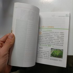 素食精品——豆类的营养