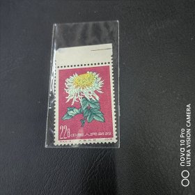 特44-14 菊花带边邮票新票散票 纪特五朵金花之一！包邮！全品 收藏