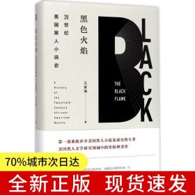 黑色火焰：20世紀美國黑人小說史