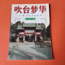 吹台梦华:禹王台下谈古今（开封市禹王台）