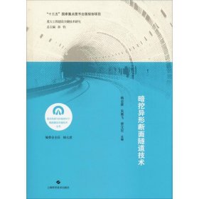 暗挖异形断面隧道技术