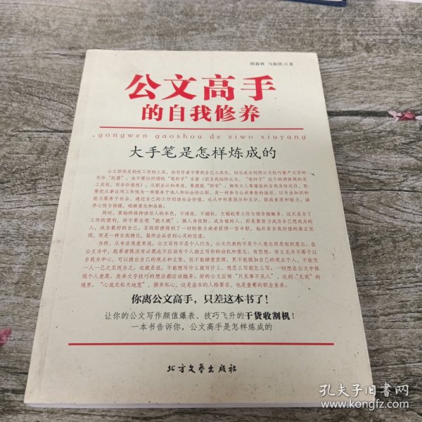 公文高手的自我修养：大手笔是怎样炼成的