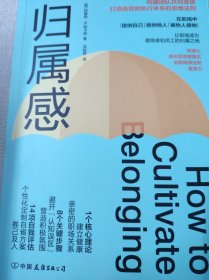 归属感：构建团队共同愿景、打造高效能执行体系的思维法则